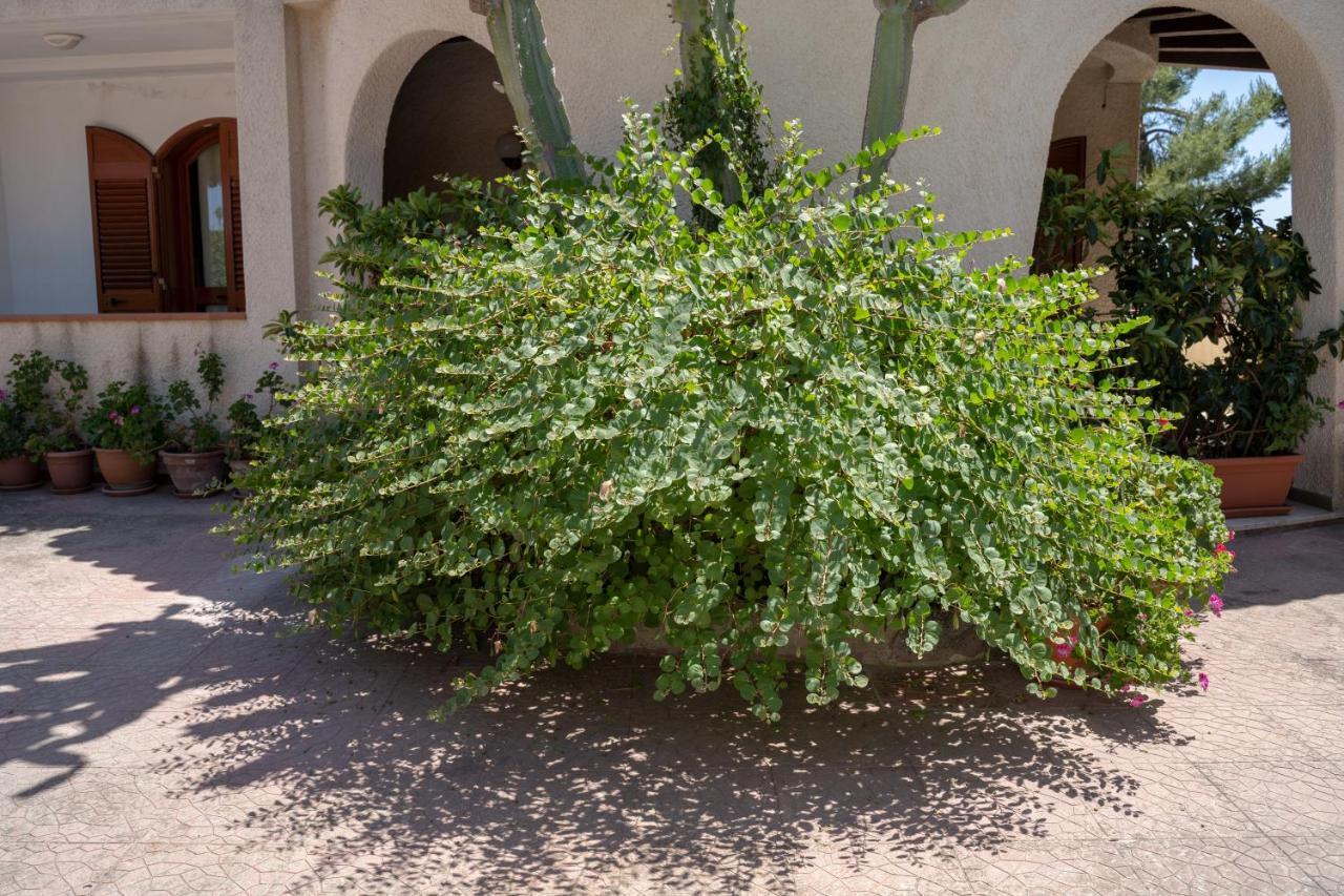 Terrazza Sul Plemmirio Bed and Breakfast Syracuse Buitenkant foto